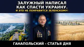 ГАНАПОЛЬСКИЙ — СТАТЬЯ ДНЯ! Валерий Залужный опубликовал, фактически, свою ПРЕДВЫБОРНУЮ ПРОГРАММУ.
